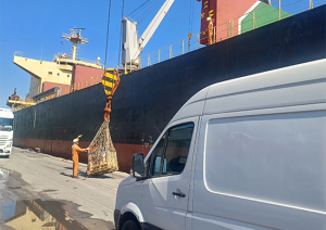 Dox Log Cargo Transshipment 2